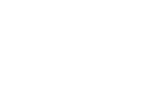 skyZenith Drones